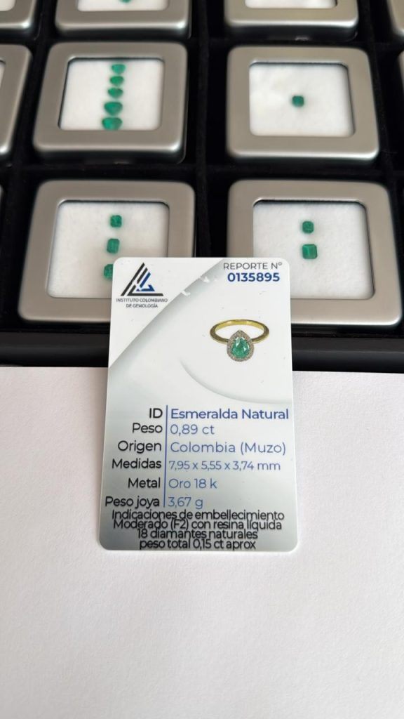 whatsapp image 2026 02 18 at 5.43.16 pm (1)