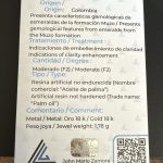 whatsapp image 2026 04 06 at 3.12.36 pm (1)